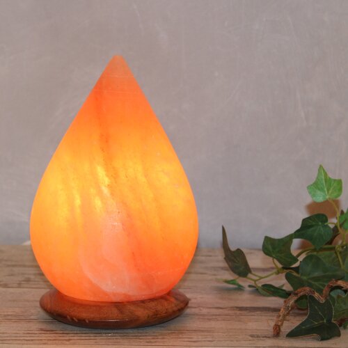 Himalaya Salt Dreams Beleuchteter Salzkristall 'Planet' White Line - Inkl. E14 Lampe & Kabel, Ca. 2,3 Kg