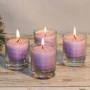 Palmwax Candle, Feng Shui NUANCE Violet, 4 pieces per...